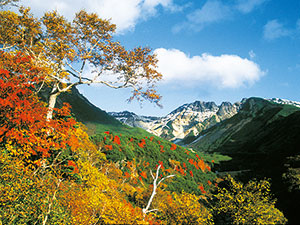 Mt.Tokachidake Autumn leaves Festival